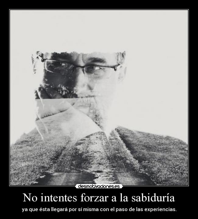 No intentes forzar a la sabiduría - ya que ésta llegará por sí misma con el paso de las experiencias.