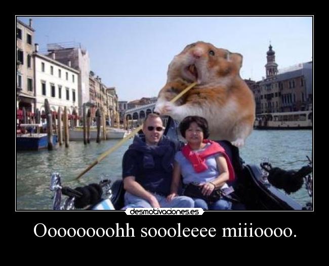 Oooooooohh soooleeee miiioooo. -