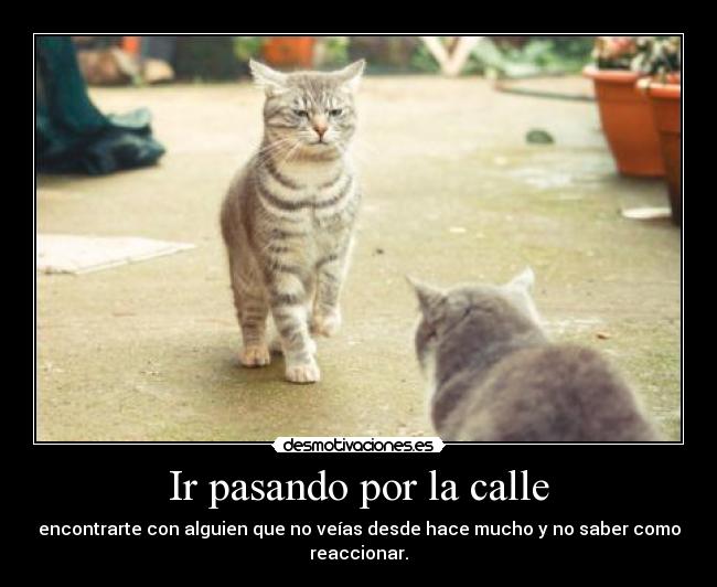 Ir pasando por la calle - 