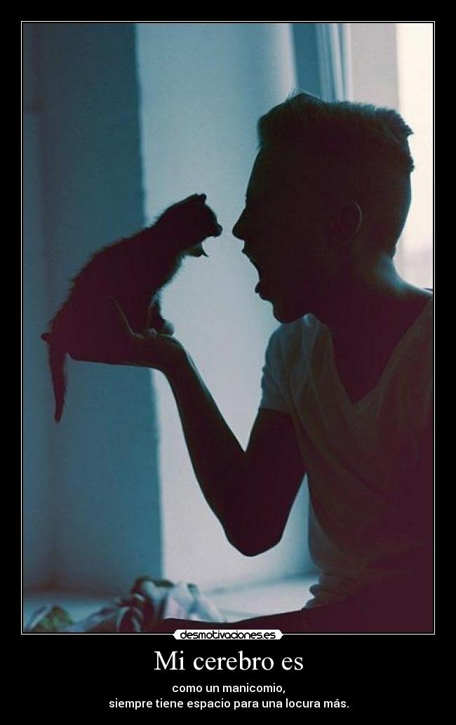 carteles ayloviutusisimo desmotivaciones