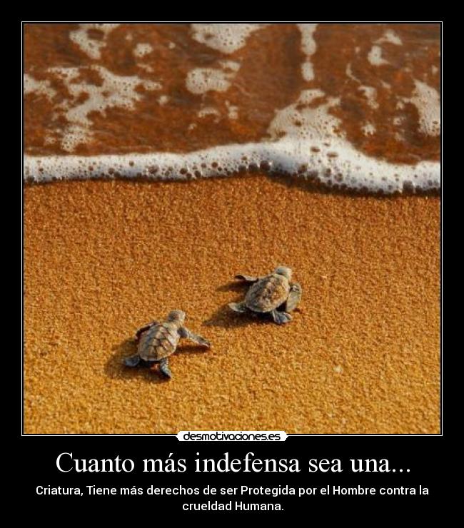 Cuanto más indefensa sea una... -