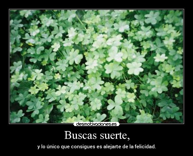 Buscas suerte, -