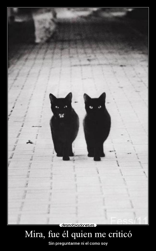 Mira, fue él quien me criticó -