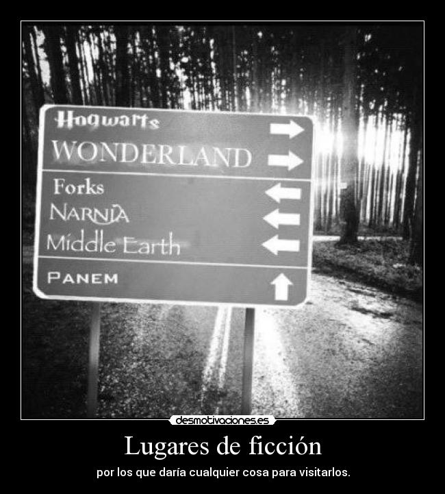 carteles eragon libros hogwarts harry potter aslan frodo bolson cerrado hermione ron weasley desmotivaciones