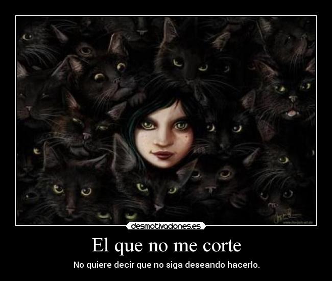 carteles macacaceres desmotivaciones