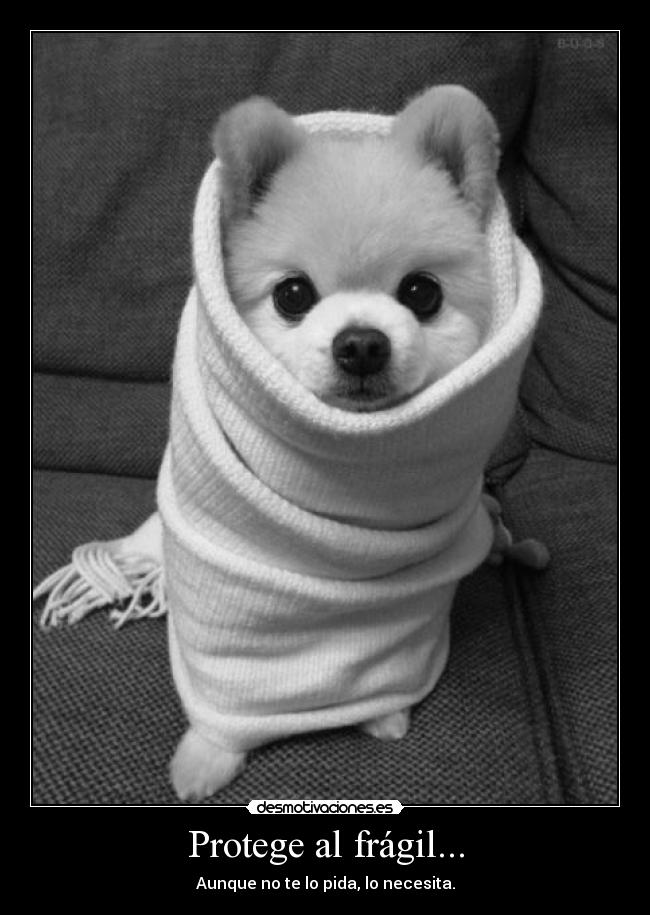 carteles sritasuspiro blackworld desmotivaciones