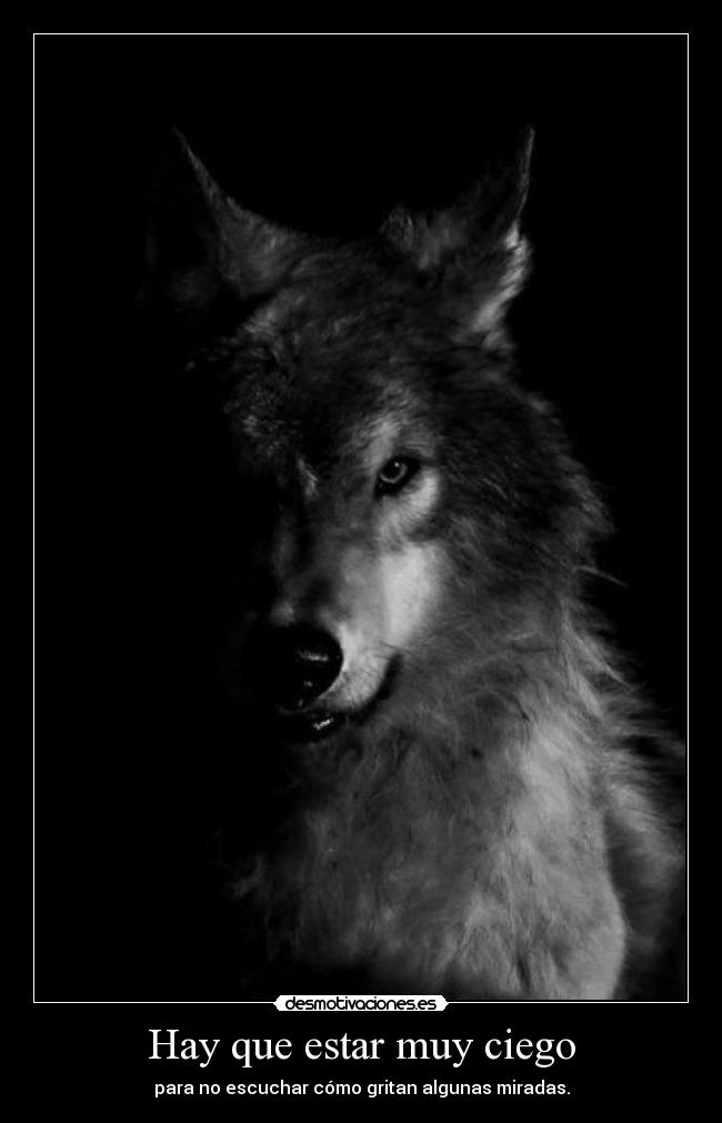 Hay que estar muy ciego -