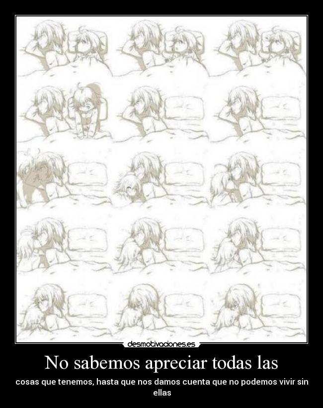 No sabemos apreciar todas las - 