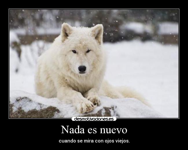 Nada es nuevo - 