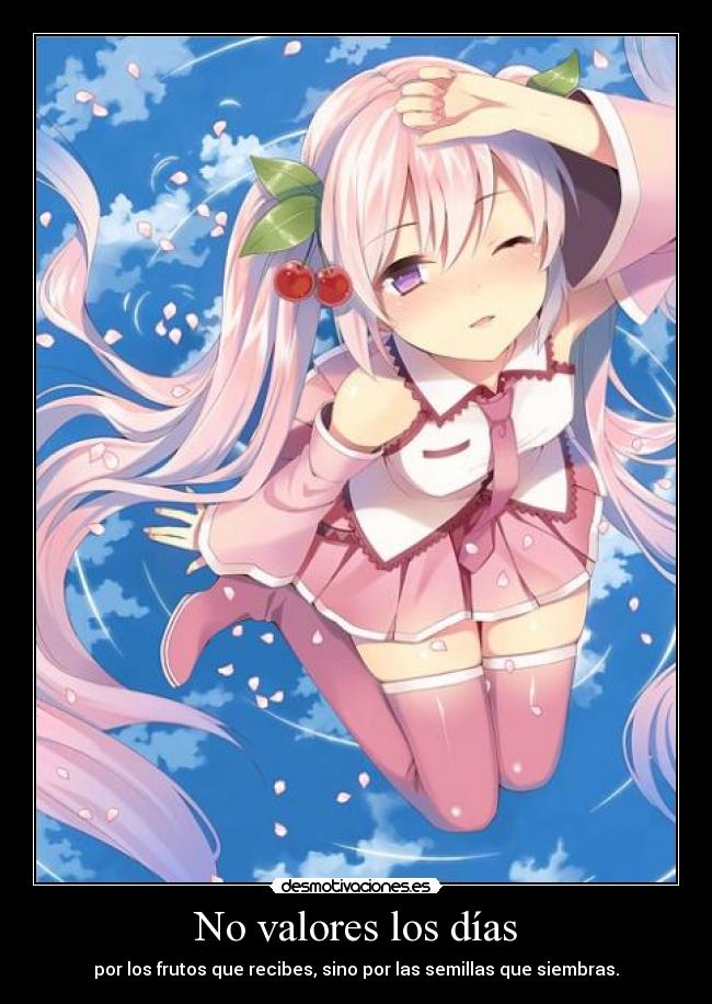 No valores los días - por los frutos que recibes, sino por las semillas que siembras.