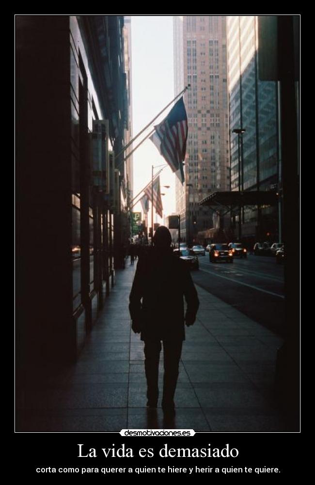 La vida es demasiado -