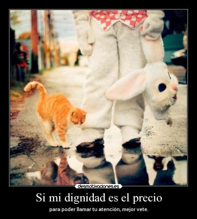 Si mi dignidad es el precio - para poder llamar tu atención, mejor vete.