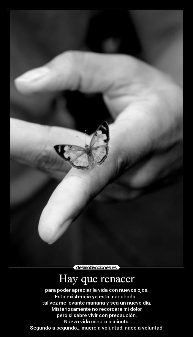 Hay que renacer - 