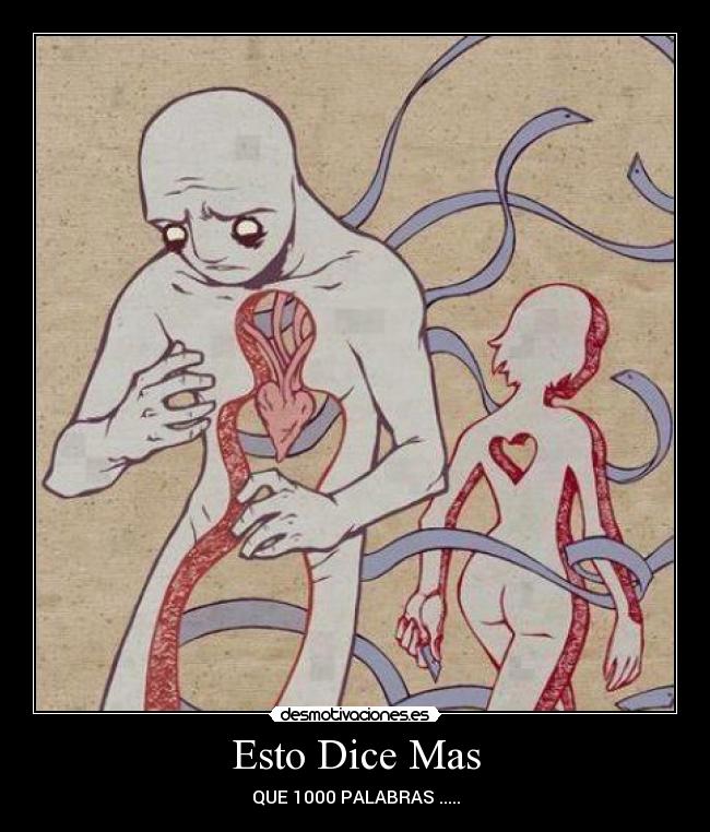 carteles gatto piyo desmotivaciones