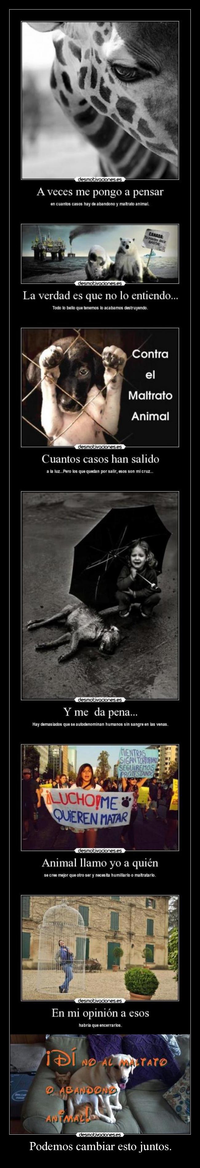 Podemos cambiar esto juntos. - 