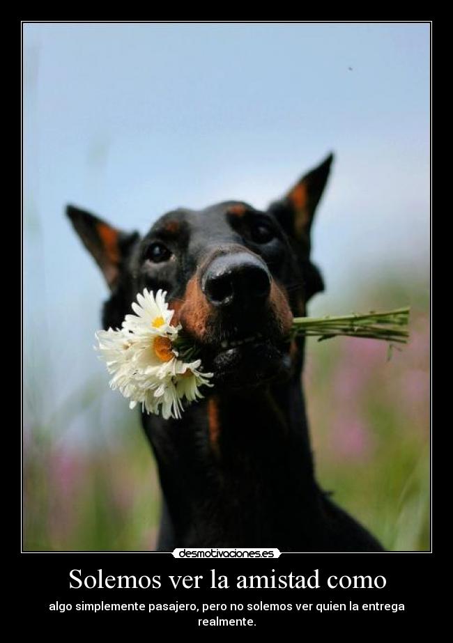 carteles amistad clanbaneado blackdead cartel convence realmente desmotivaciones