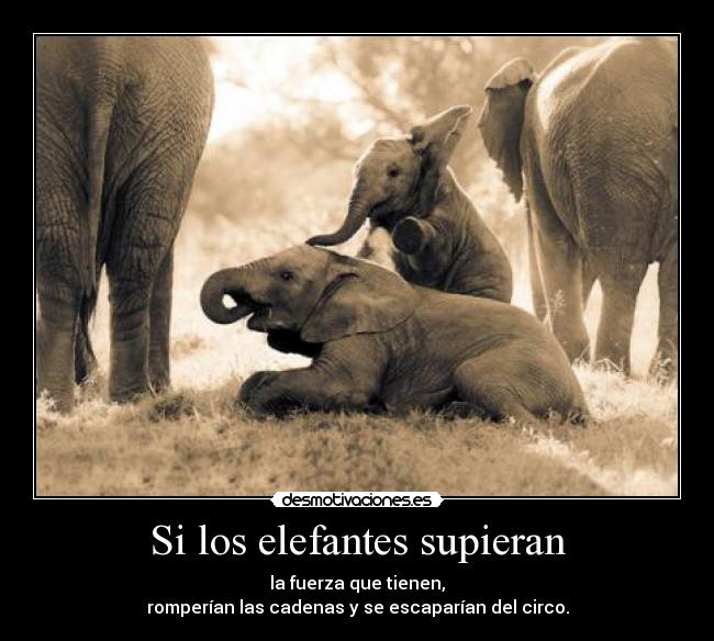 carteles ayloviutusisimo desmotivaciones