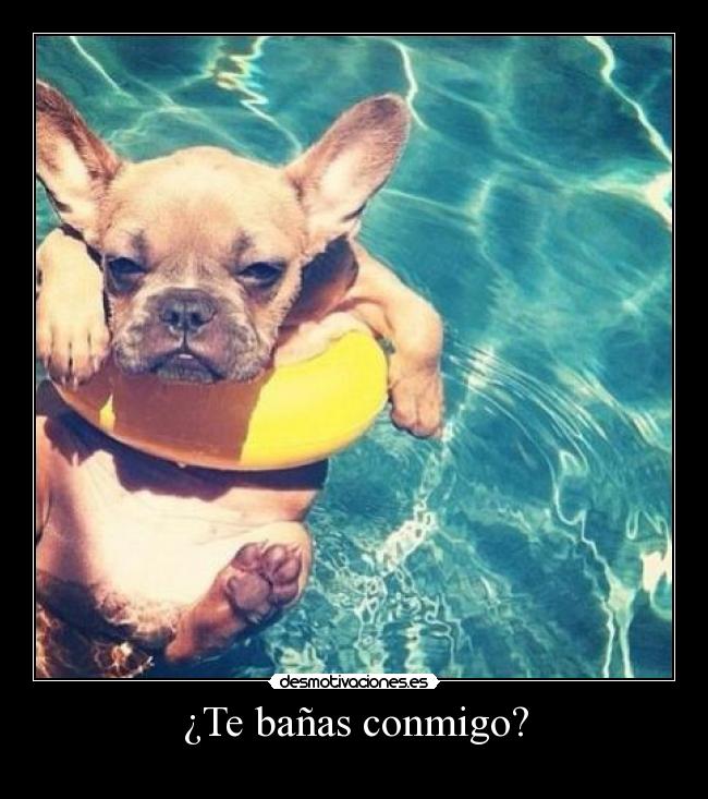¿Te bañas conmigo? - 