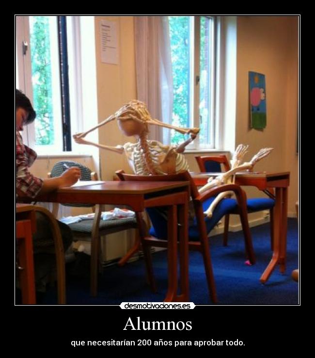 Alumnos - 