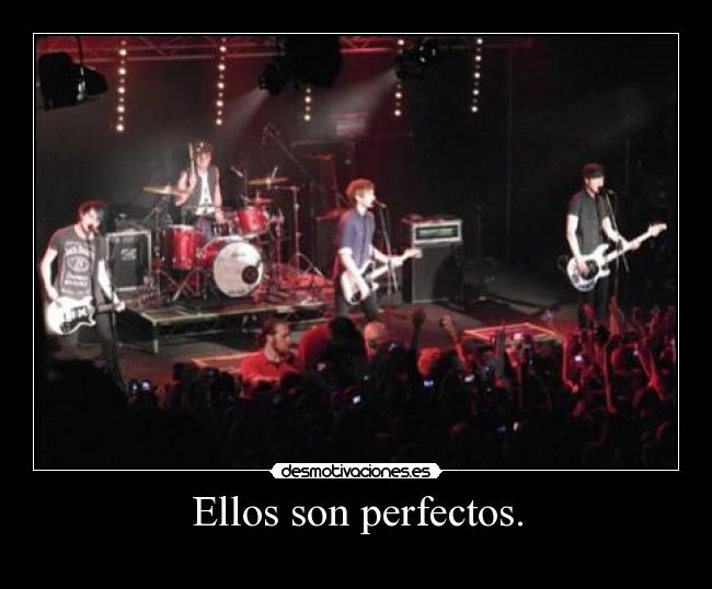 Ellos son perfectos. -