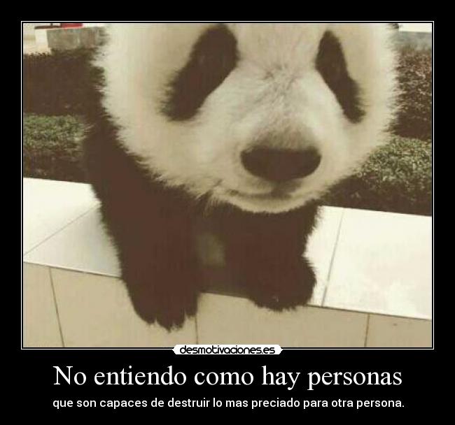 No entiendo como hay personas -