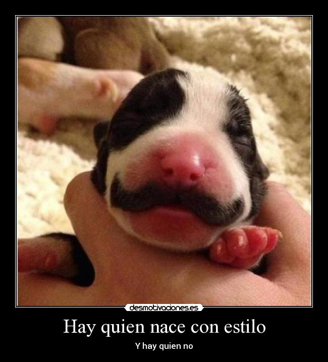 Hay quien nace con estilo - 