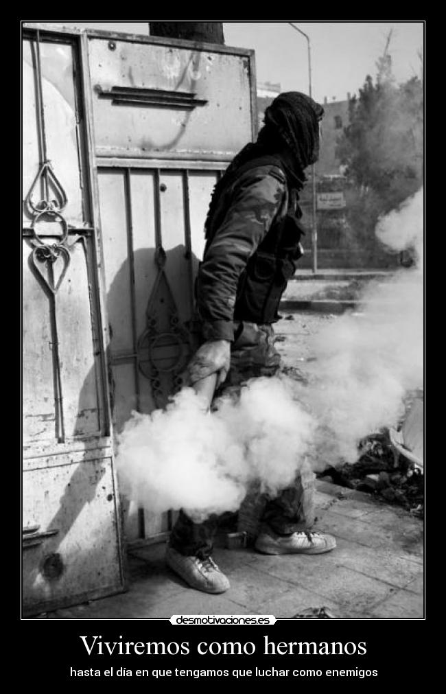 carteles unicorniosfelices locurapensativa clonespower theinmortals los7molan blackcrows desmotivaciones