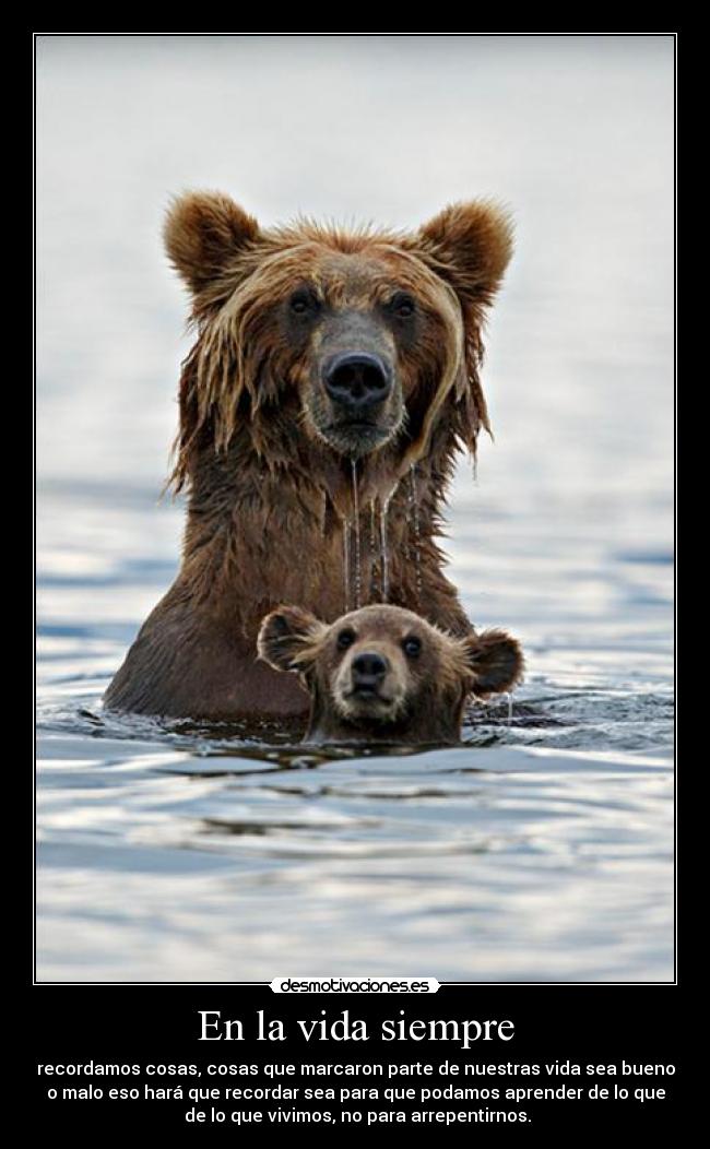 En la vida siempre -