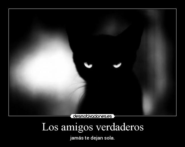Los amigos verdaderos - 