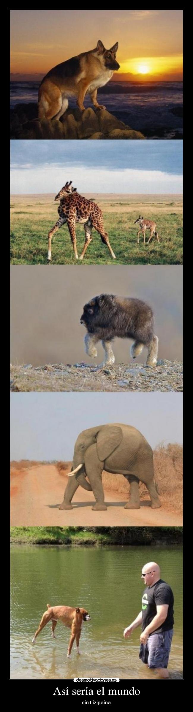 Así sería el mundo - 