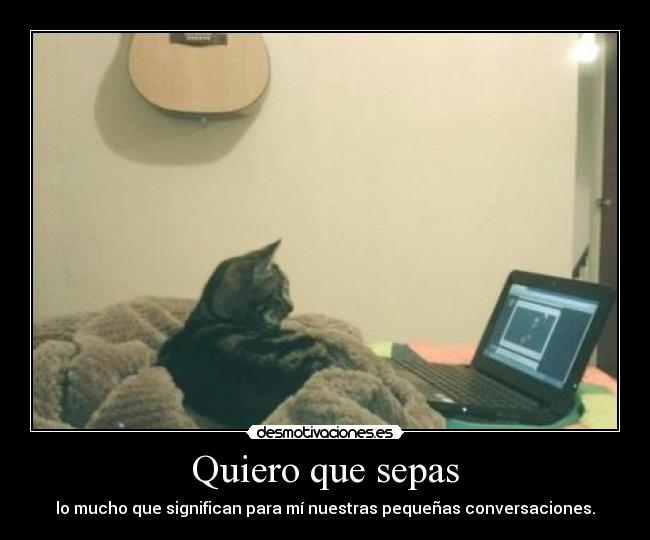 Quiero que sepas - lo mucho que significan para mí nuestras pequeñas conversaciones.