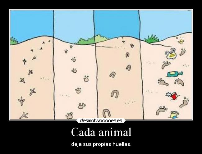 Cada animal - 