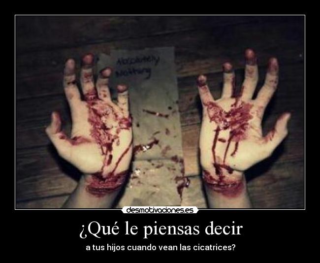 carteles dudo mucho que sobreviva pero meh desmotivaciones