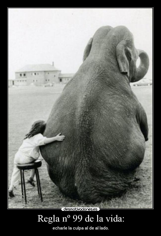Regla nº 99 de la vida: -