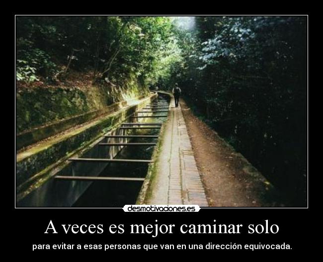 A veces es mejor caminar solo - para evitar a esas personas que van en una dirección equivocada.