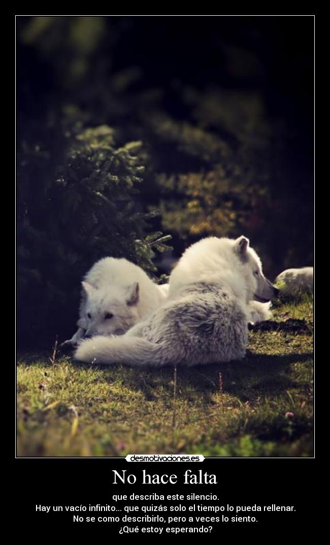 No hace falta - que describa este silencio.
Hay un vacío infinito... que quizás solo el tiempo lo pueda rellenar.
No se como describirlo, pero a veces lo siento.
¿Qué estoy esperando?