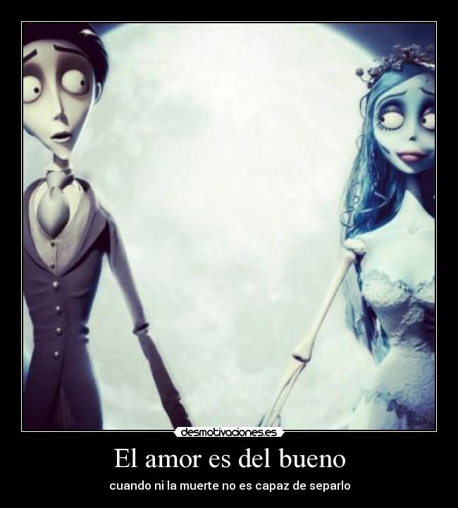 carteles amor tim burtom glee novia cadaver bonito llorar ahora ramo romantico besos muerta coffin chemical desmotivaciones