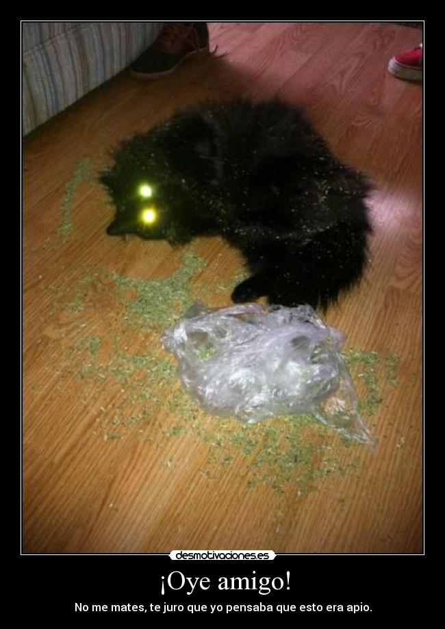 carteles weed hahaha gatospendejo desmotivaciones