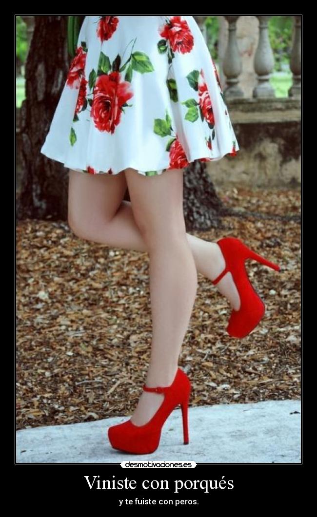 Viniste con porqués -