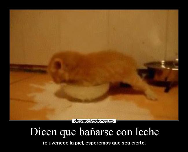 Dicen que bañarse con leche -