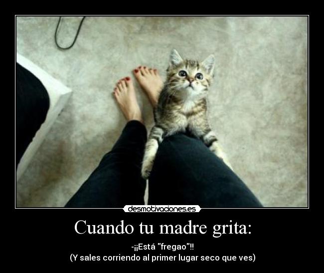 Cuando tu madre grita: - 