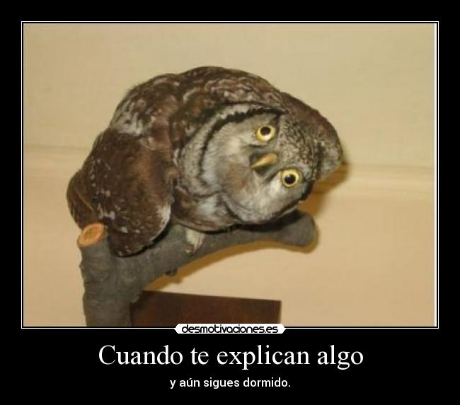 Cuando te explican algo - y aún sigues dormido.
