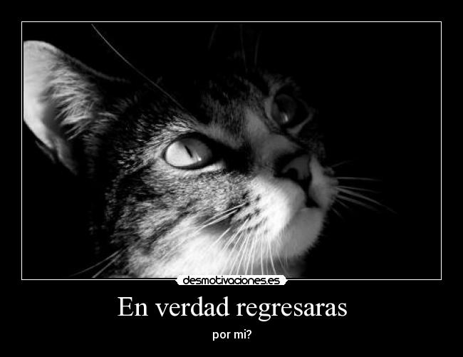 En verdad regresaras - por mi?