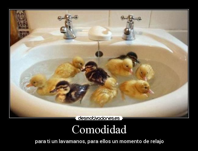 Comodidad - para ti un lavamanos, para ellos un momento de relajo