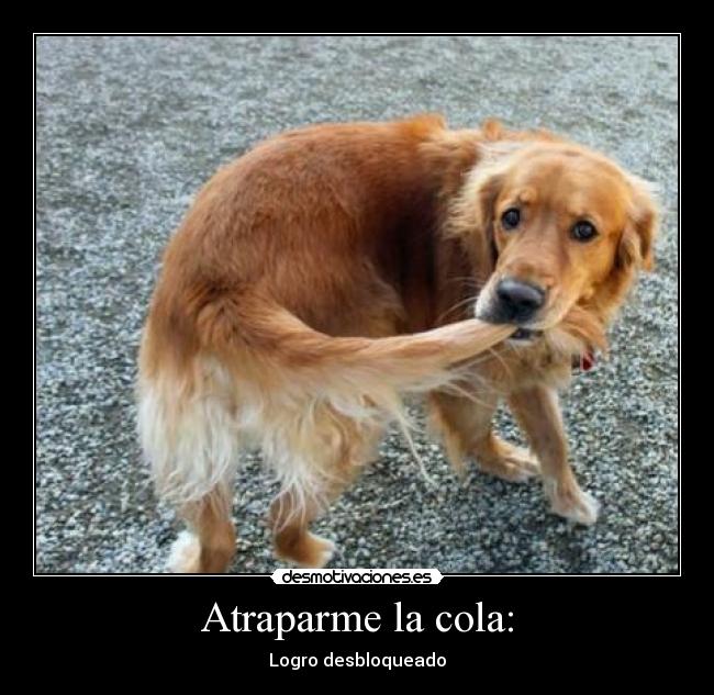 Atraparme la cola: - 