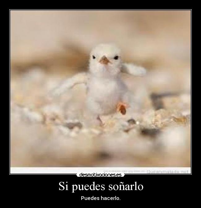 Si puedes soñarlo - Puedes hacerlo.