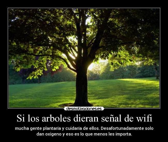 carteles los arboles dieran wifi desmotivaciones