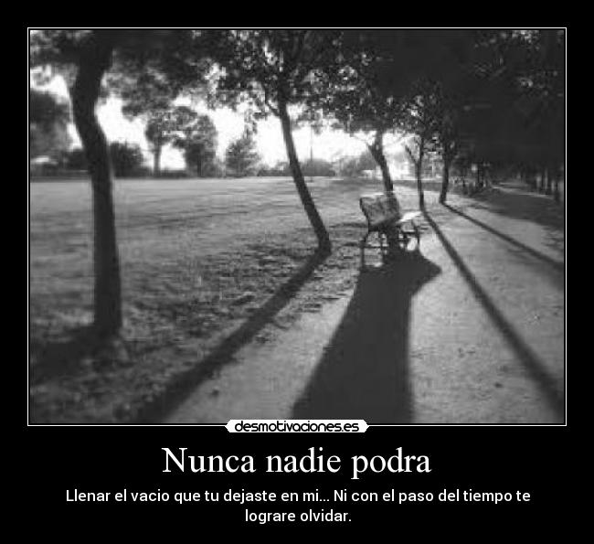 Nunca nadie podra - Llenar el vacio que tu dejaste en mi... Ni con el paso del tiempo te lograre olvidar.