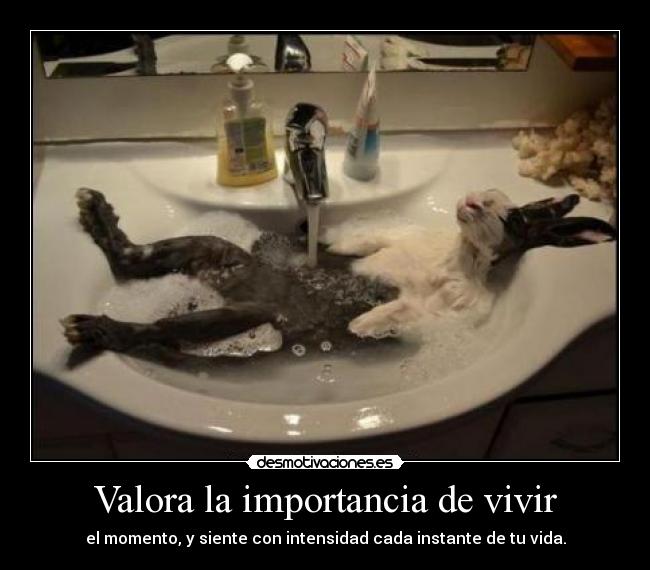 Valora la importancia de vivir - el momento, y siente con intensidad cada instante de tu vida.