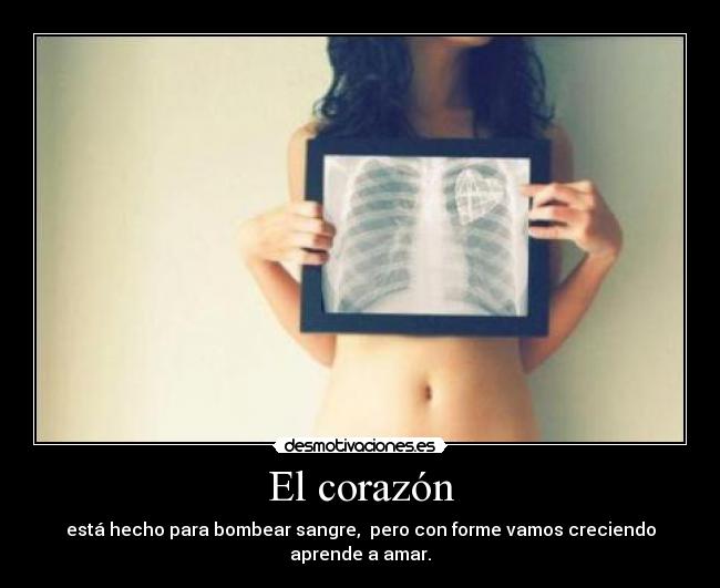 El corazón - está hecho para bombear sangre,  pero con forme vamos creciendo aprende a amar.